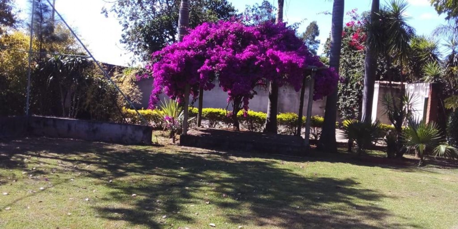 Sítio a Venda em Caetanópolis - Foto 2 de 6